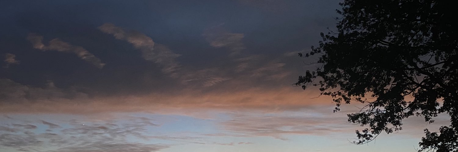 heyitsmini's profile banner image