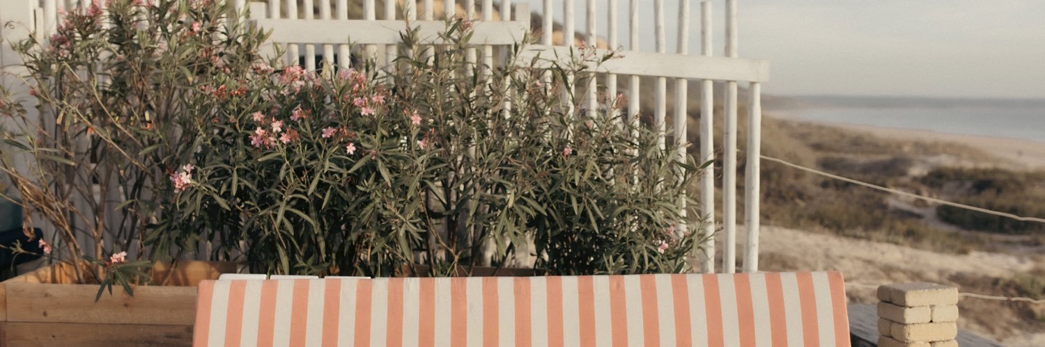 🌐 CBM 🌐 banner