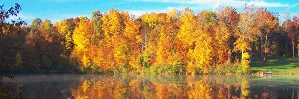 genebrooks's profile banner image