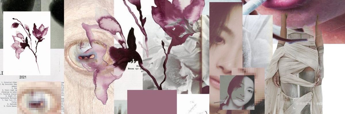 shan ⋆𐙚₊˚⊹♡ banner