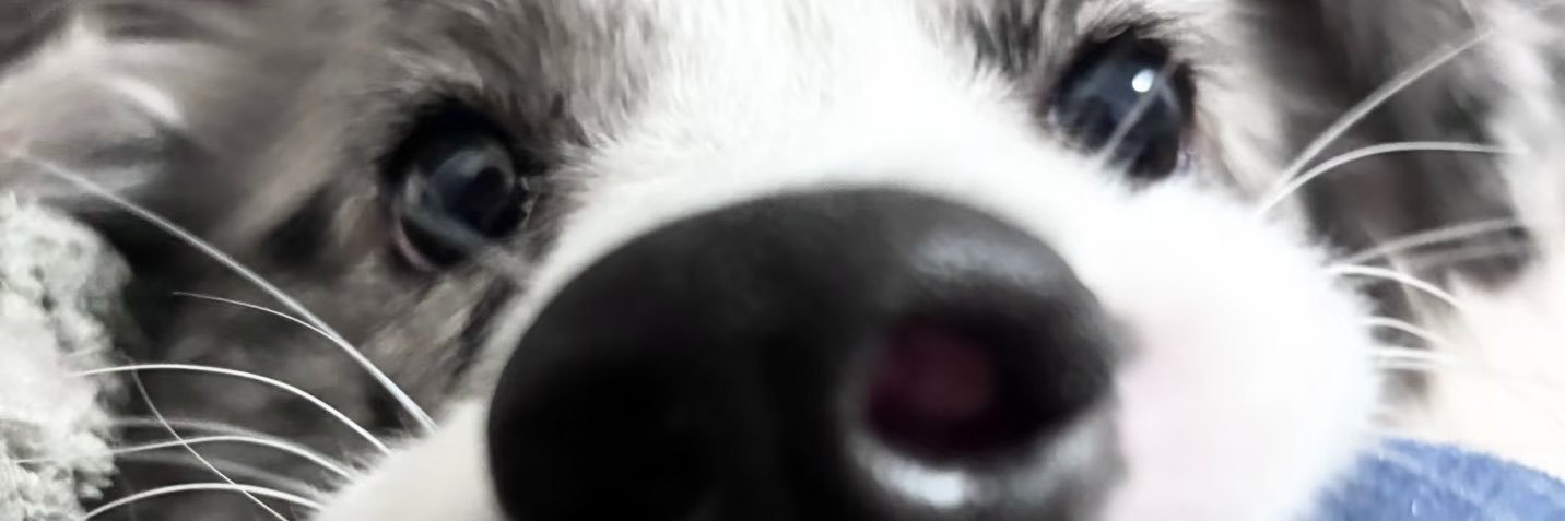 Leccccsss21's profile banner image