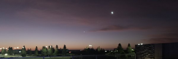 fionn Profile Banner