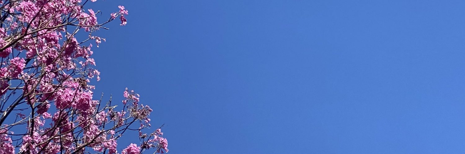 Aninha banner