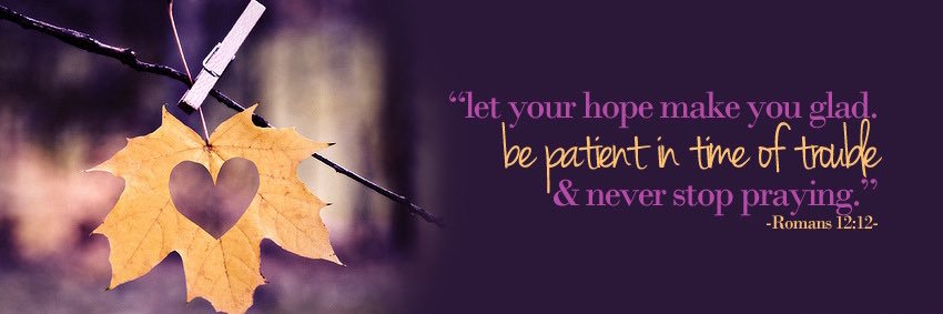 Grateful in Georgia 🍑🇺🇸 banner