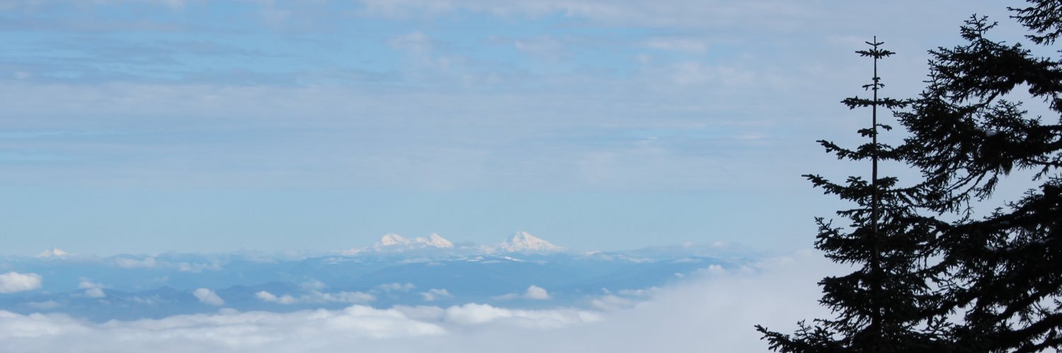 goy_division's profile banner image