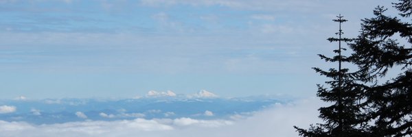 goy_division Profile Banner