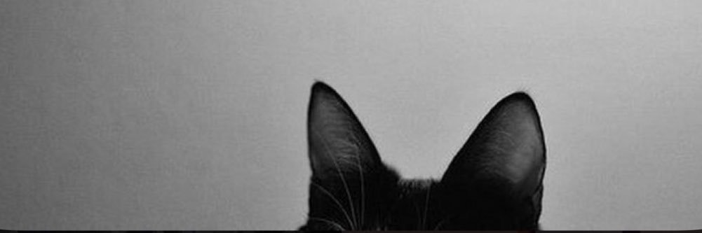 x31lz's profile banner image