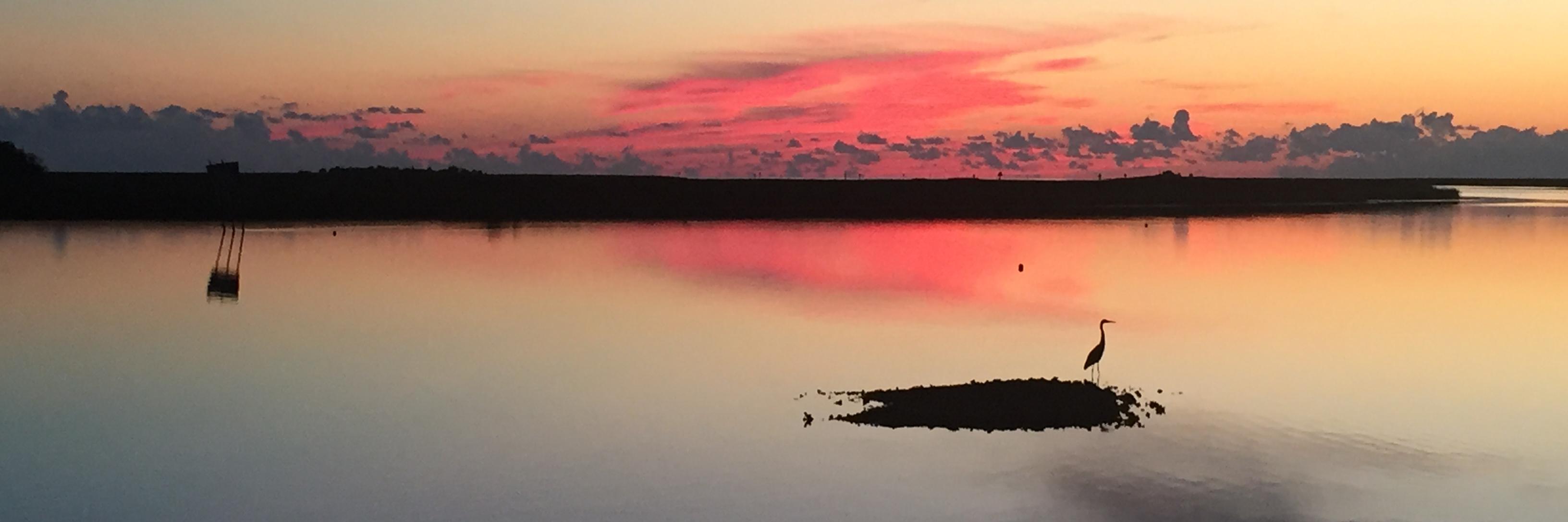 benwicker's profile banner image