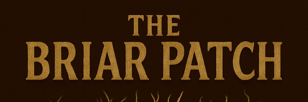 Blasi The One Man Posse banner