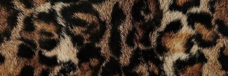 thkmadu's profile banner image