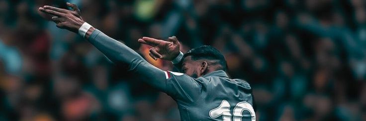 Efe banner