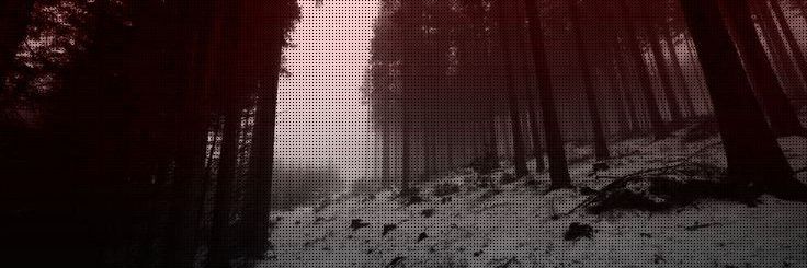 camii of𑁤edtwt.ᐟ banner