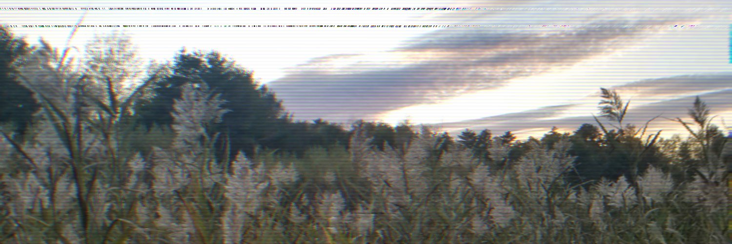 Slvgbucket ♡ banner