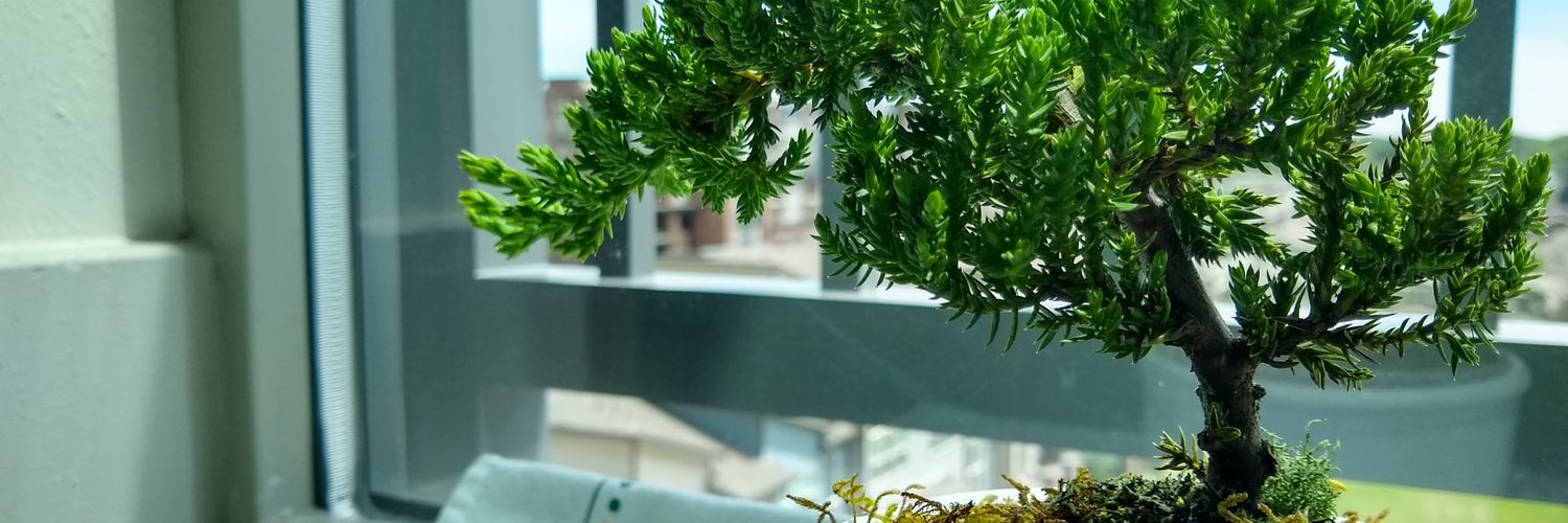 cpfunk's profile banner image