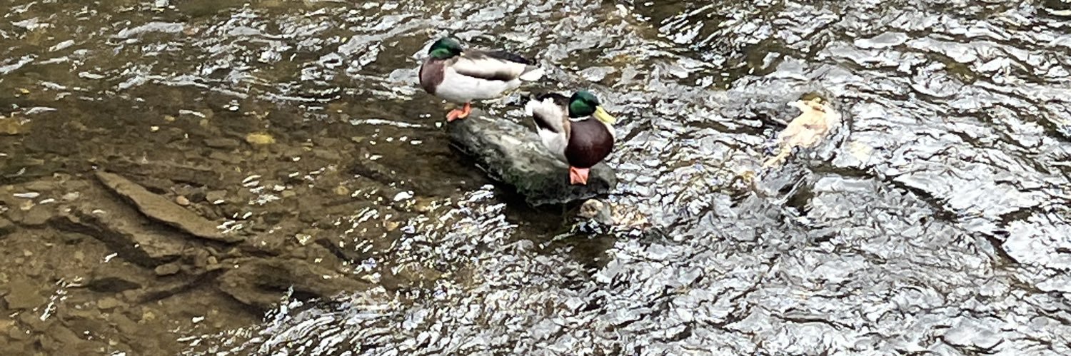 mella (^･o･^)ﾉ” banner