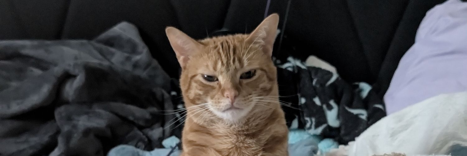 mer 🐈‍⬛ banner