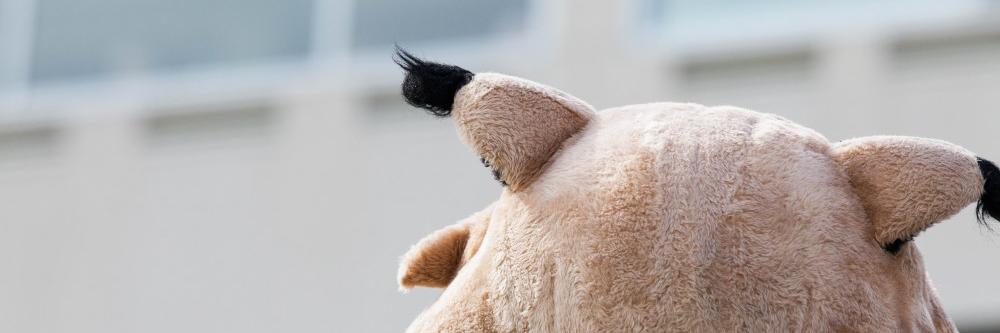 The Post Sports banner