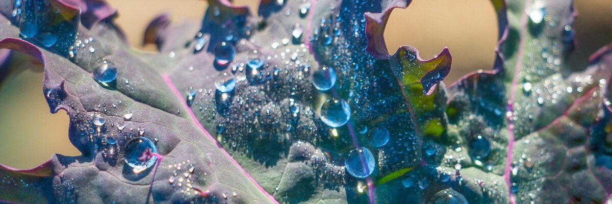 Carolyn_Higgins's profile banner image