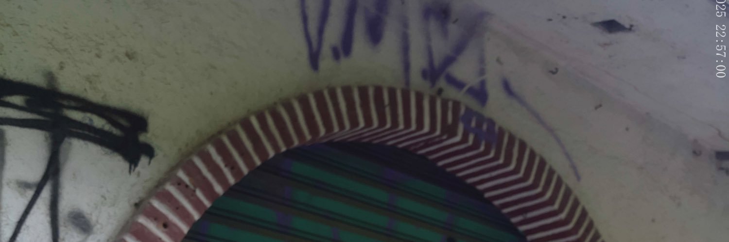 flywithcaro's profile banner image