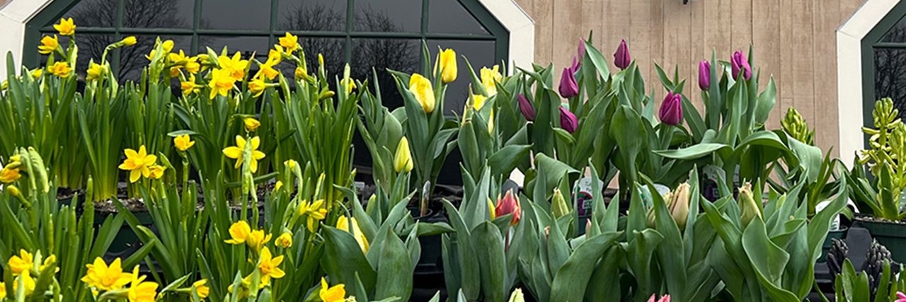 Wilson Farm banner