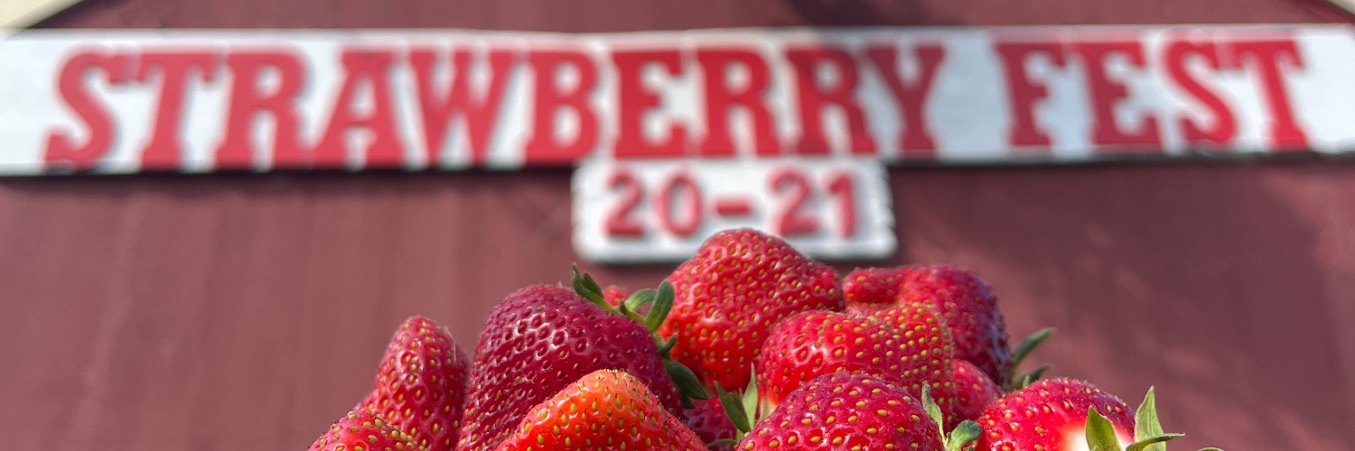 wilsonfarm's profile banner image