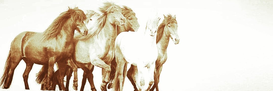 ᵛⁱᵖ ♔ 乂عبيه乂 ⇣ banner