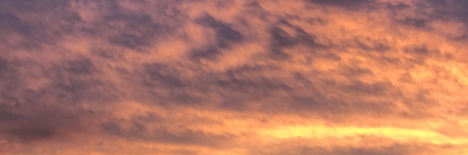 camilafl's profile banner image