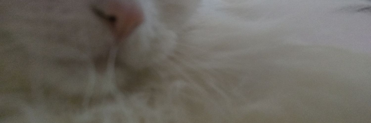 8t8rnity's profile banner image