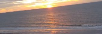 drajned- banner