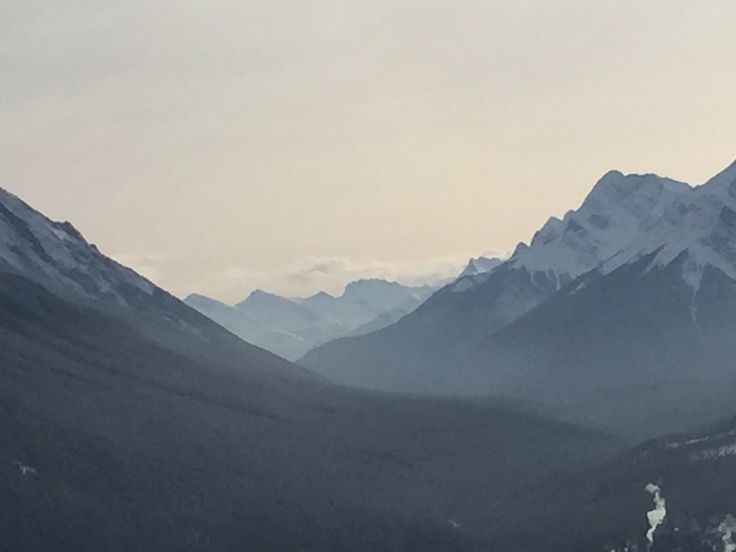 swaylo's profile banner image