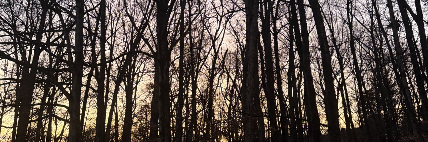 Cole banner