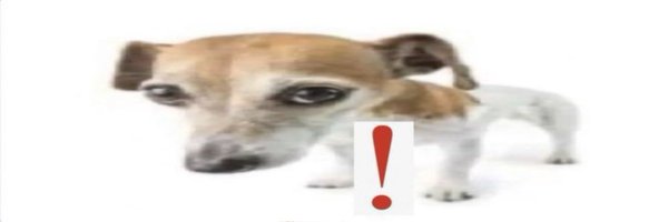 raymondeeee Profile Banner