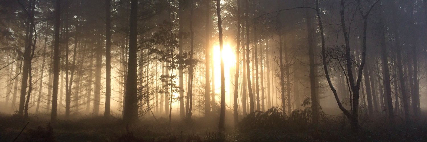 LeeFisher337's profile banner image