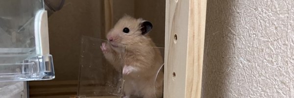 mc297jclassic Profile Banner