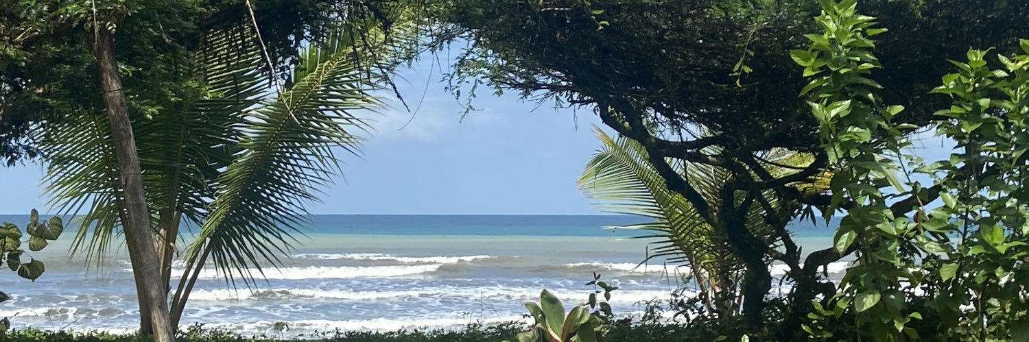 limavea's profile banner image