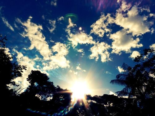 CamiPannelli_'s profile banner image