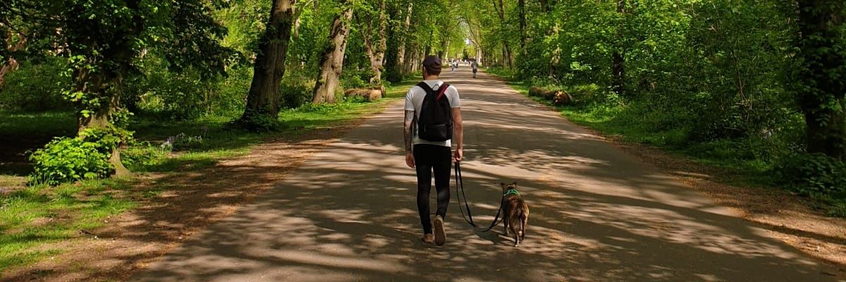 JackLouisCarter's profile banner image
