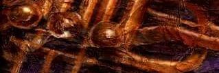 WongoWoman's profile banner image