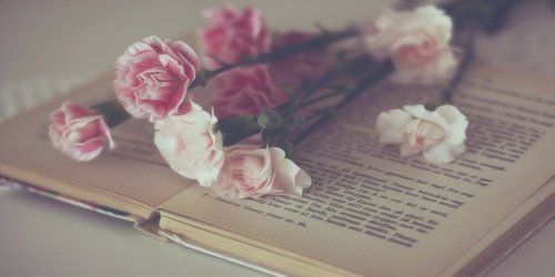 𝐞𝐥𝐢𝐣𝐚𝐡 banner