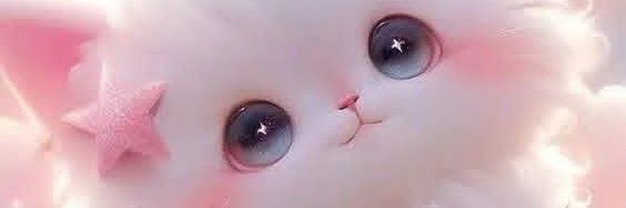琪阿德乐 banner