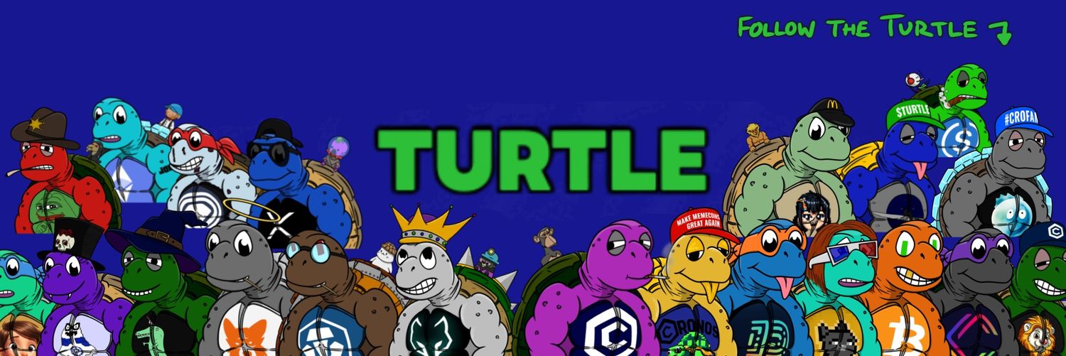 Turtle on Cronos banner