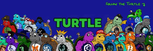 TurtleonCro Profile Banner