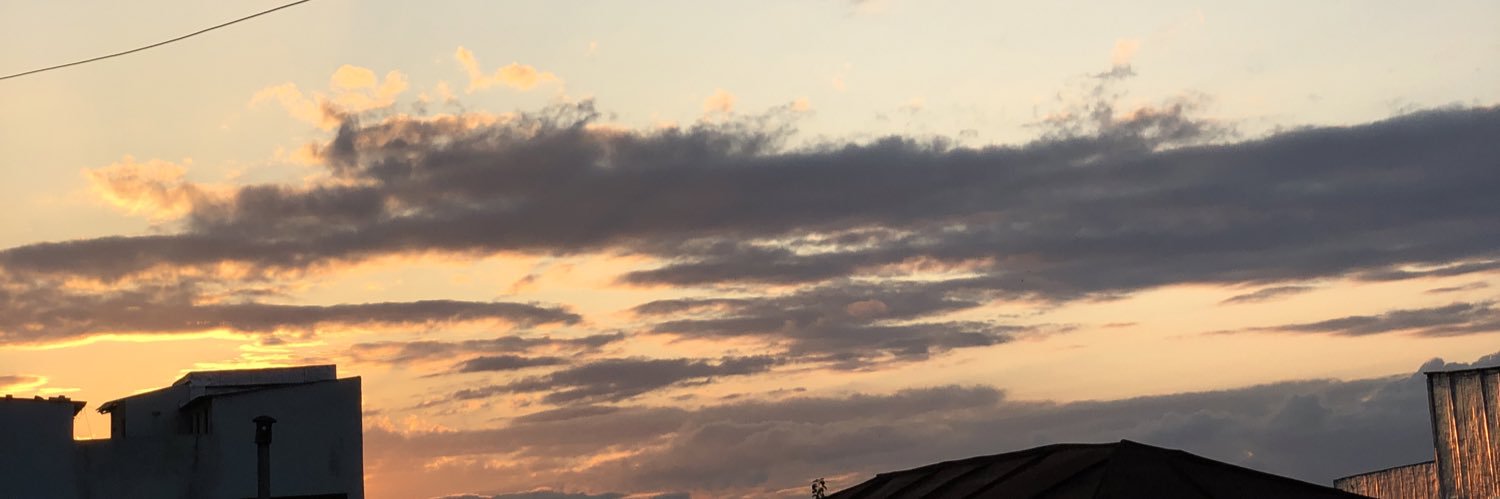پتینا banner