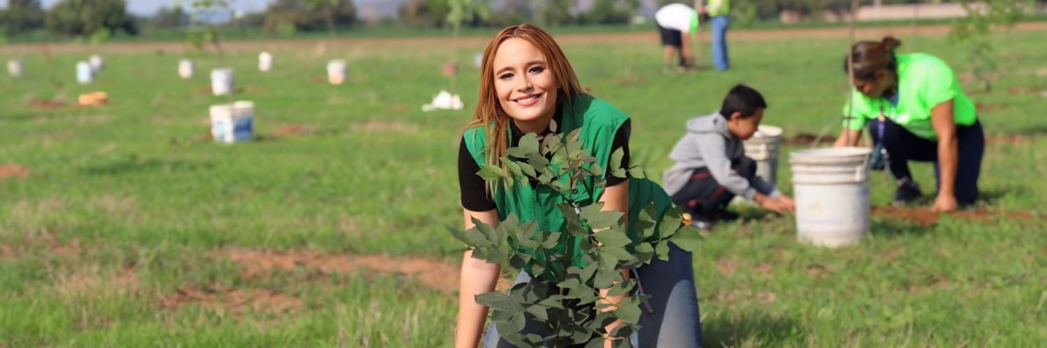 ElissaFigute's profile banner image