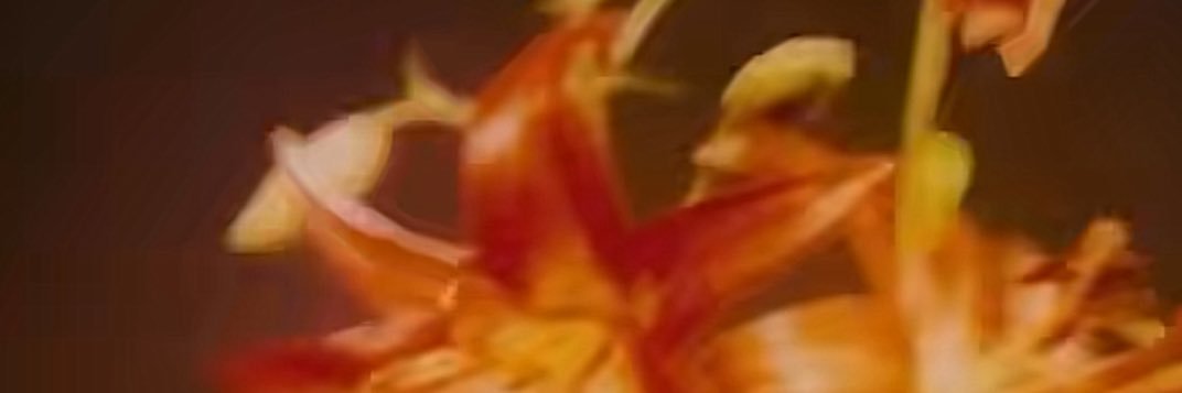 نينا banner