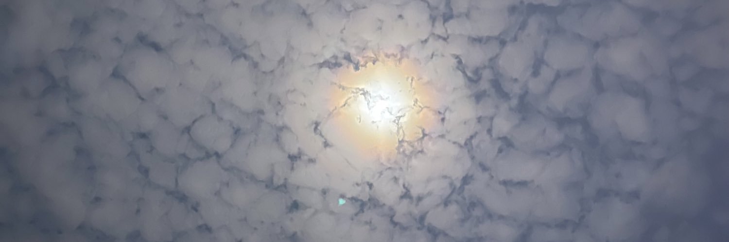 LujainO's profile banner image