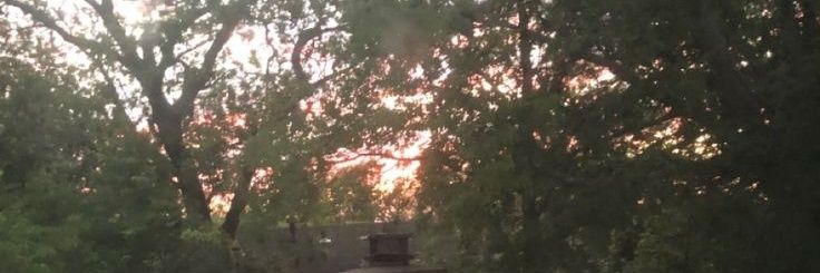 Pamela Louisiana banner