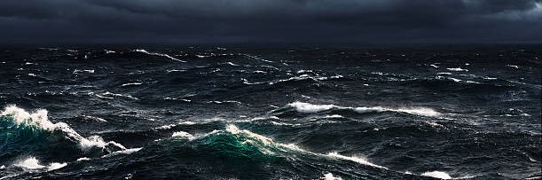 Solana Service Dog 🧀💊 banner