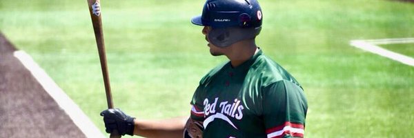 caliredtails Profile Banner