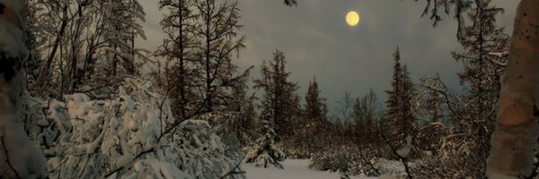 birdbone Profile Banner